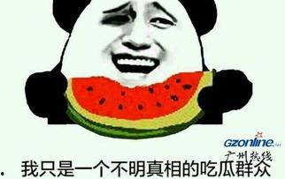 吃瓜群众用品是什么,盘点热门用品清单