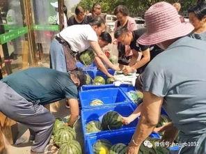 长治操场吃瓜事件视频,揭秘校园网络暴力背后的真相