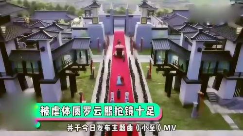 吃瓜群众-桌面主题,揭秘桌面主题背后的趣味与潮流