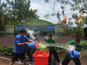 吃瓜群众-桌面主题,揭秘桌面主题背后的趣味与潮流