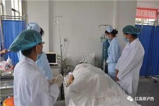 秦皇岛卫校吃瓜事件,校园风波背后的真相与反思