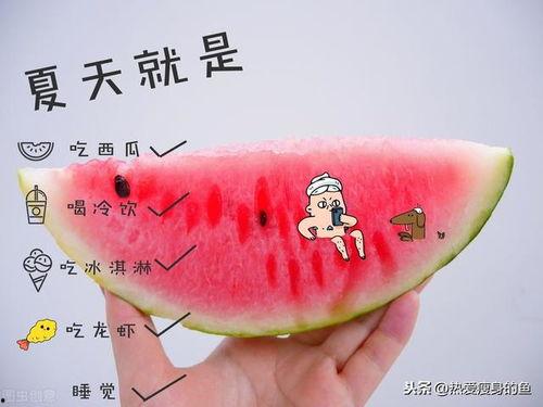 吃瓜灯泡,探寻新型节能照明产品的奥秘