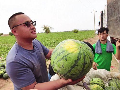 梁山新闻吃瓜事件,揭秘背后真相与网络舆论风暴