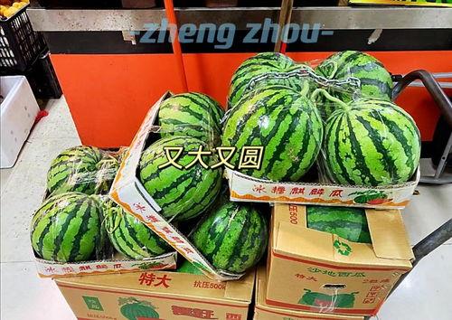 新瓜旧吃,传统与创新交融的美食之旅