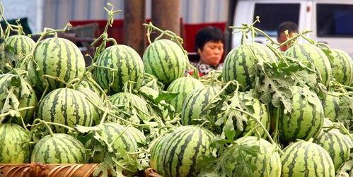 新瓜旧吃,传统与创新交融的美食之旅