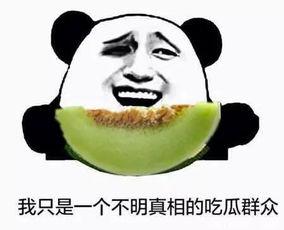 意外当了吃瓜群众,一场突如其来的吃瓜之旅