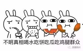 意外当了吃瓜群众,一场突如其来的吃瓜之旅